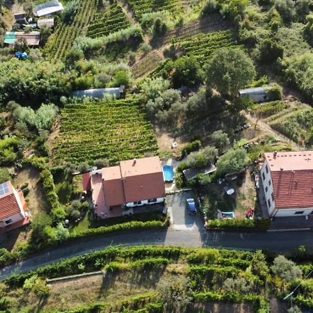 In Vino Veritas Arcola Zewnętrze zdjęcie