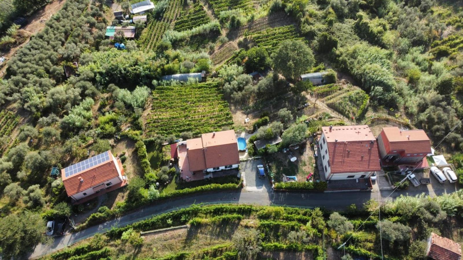 In Vino Veritas Arcola Zewnętrze zdjęcie