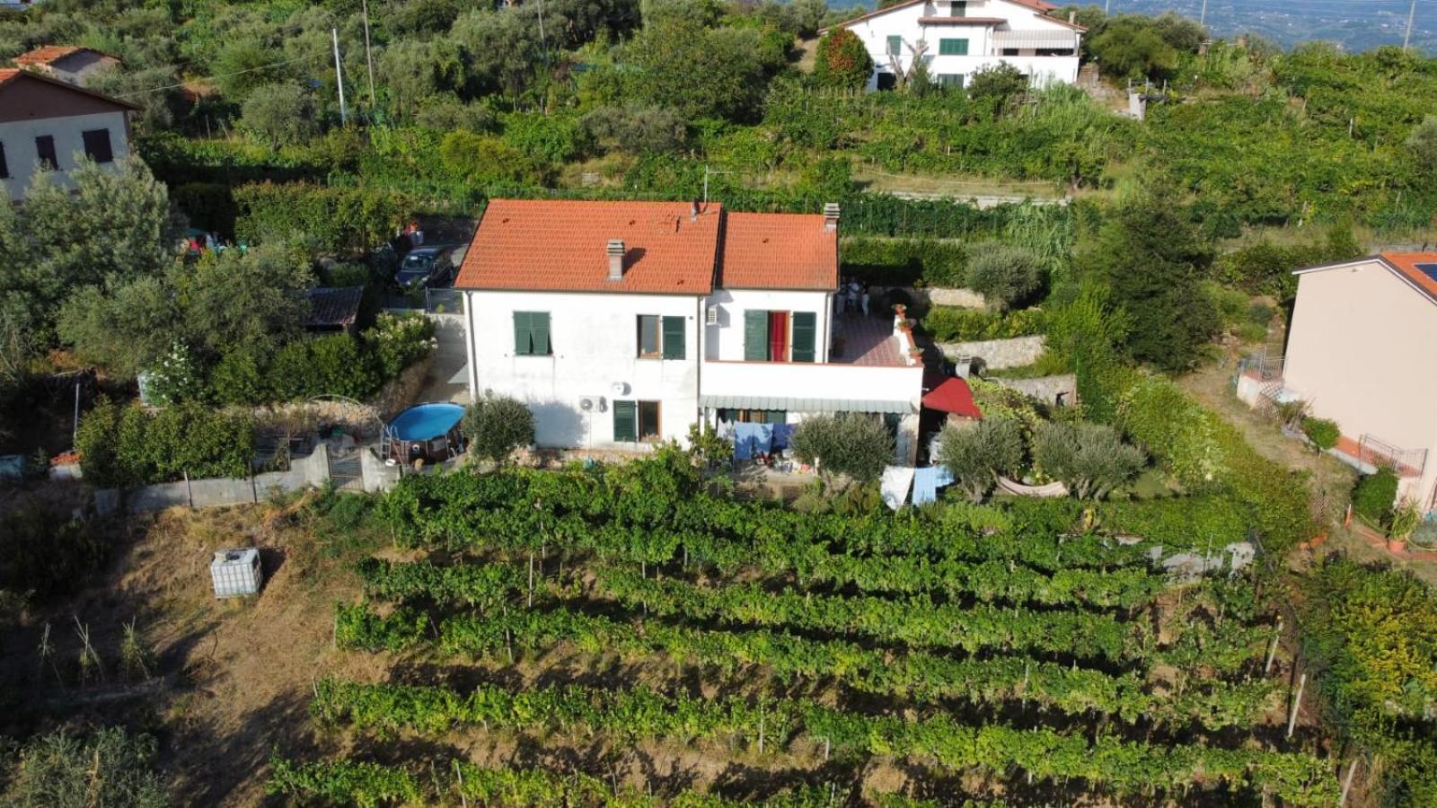 In Vino Veritas Arcola Zewnętrze zdjęcie